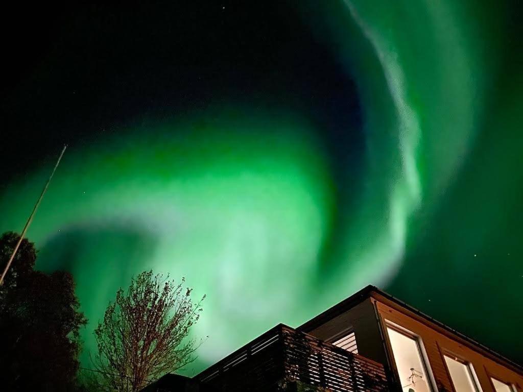 Waterfront Senja Lejlighed Torsken Eksteriør billede