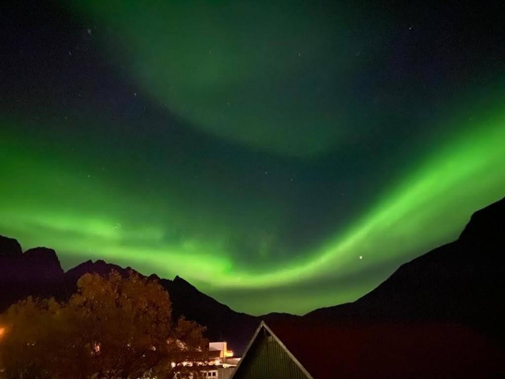 Waterfront Senja Lejlighed Torsken Eksteriør billede