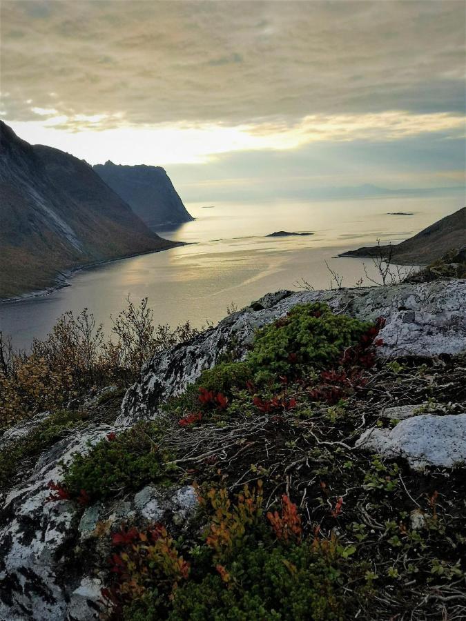 Waterfront Senja Lejlighed Torsken Eksteriør billede
