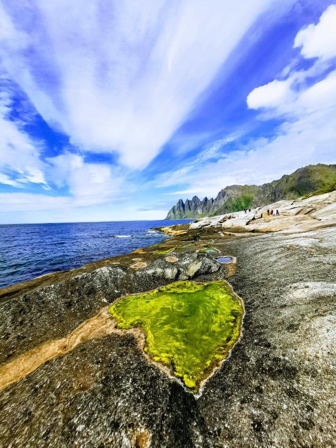 Waterfront Senja Lejlighed Torsken Eksteriør billede