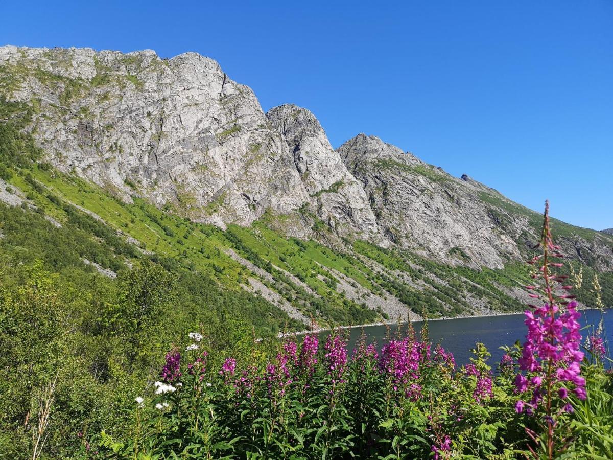 Waterfront Senja Lejlighed Torsken Eksteriør billede