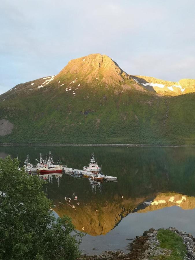 Waterfront Senja Lejlighed Torsken Eksteriør billede
