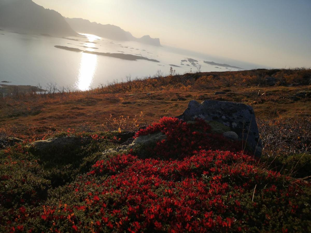 Waterfront Senja Lejlighed Torsken Eksteriør billede