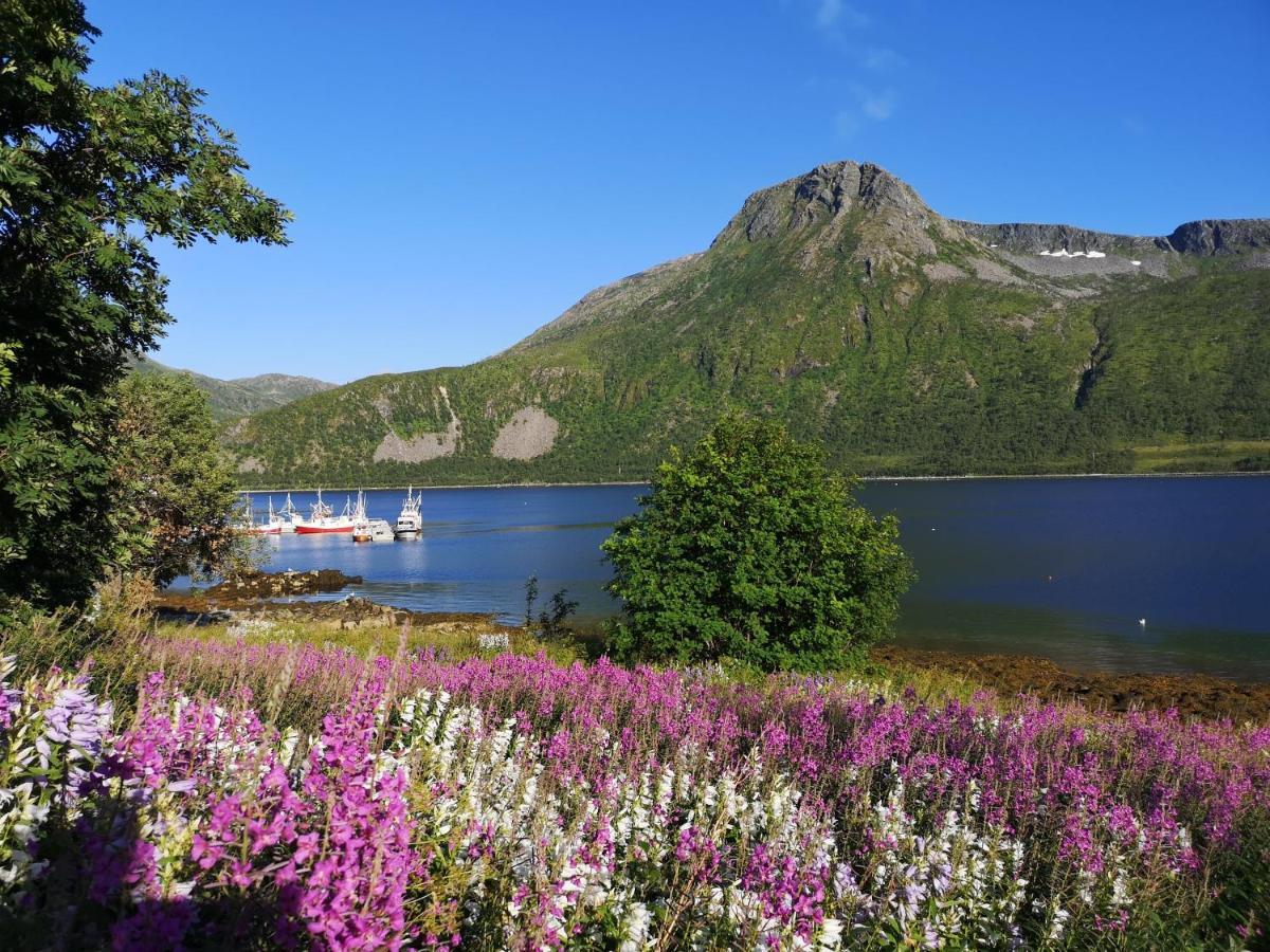 Waterfront Senja Lejlighed Torsken Eksteriør billede