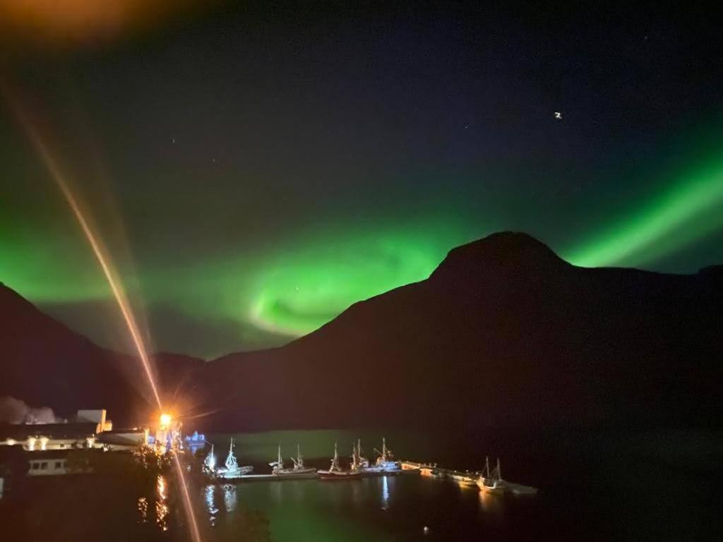 Waterfront Senja Lejlighed Torsken Eksteriør billede