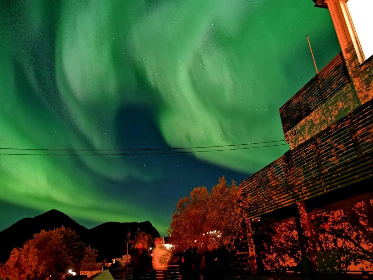 Waterfront Senja Lejlighed Torsken Eksteriør billede