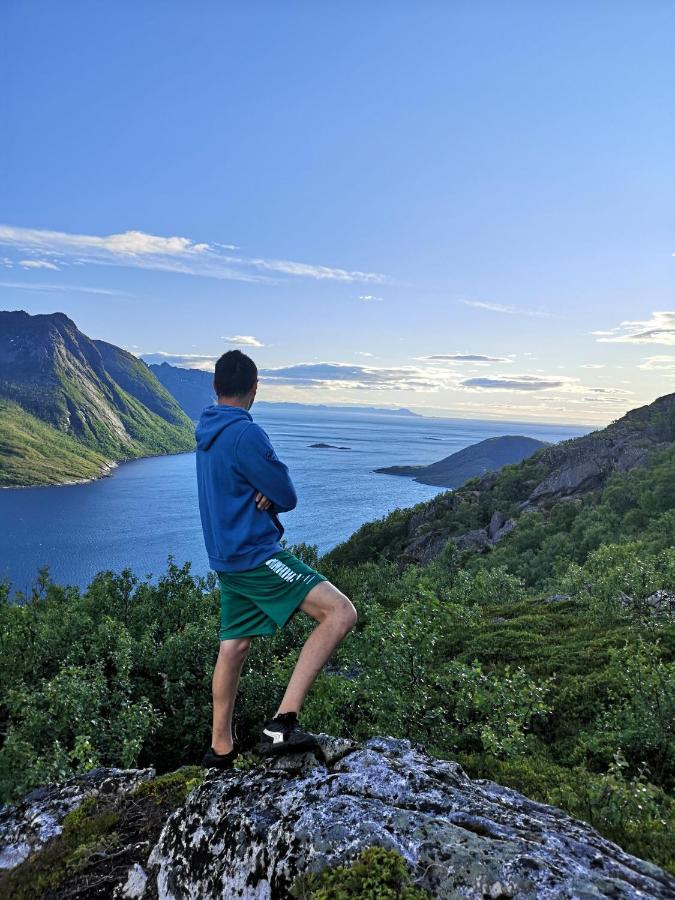 Waterfront Senja Lejlighed Torsken Eksteriør billede